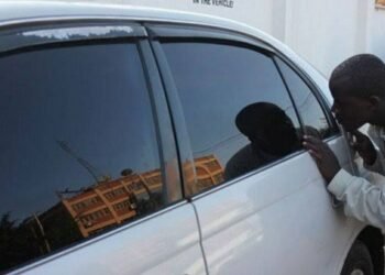 Tinted Permit