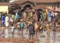 Niger Flood disaster