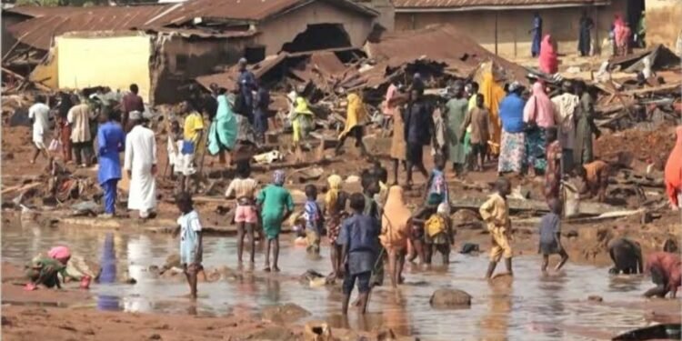Niger Flood disaster
