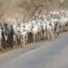 Herdsmen