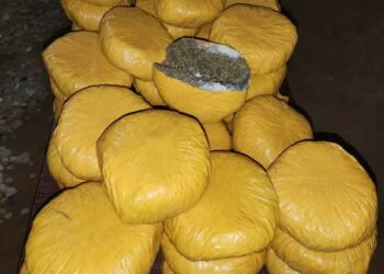 Female Drug Dealer nabbed