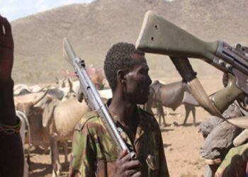 Armed Fulani Herdsmen in the Nation