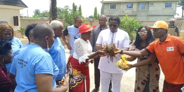 Anambra Speaker Somtochukwu Udeze distributes fresh tomatoes to widows