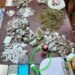 Drug den busted in Oko