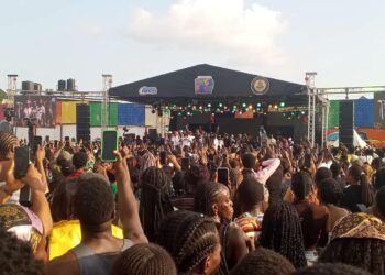 Flavour performs at Solution Fun City