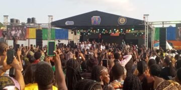 Flavour performs at Solution Fun City