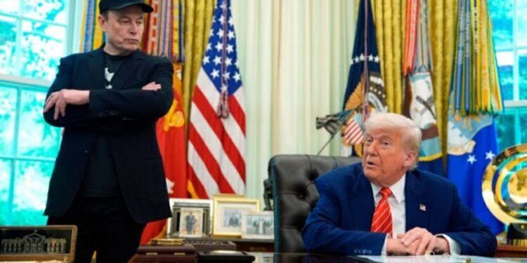 Elon Musk and Donald Trump