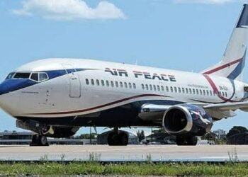 Air Peace records multiple Bird Strike