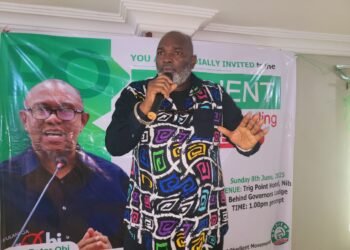 Obidient Movement coordinator