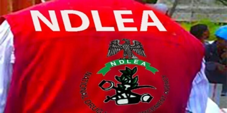 NDLEA