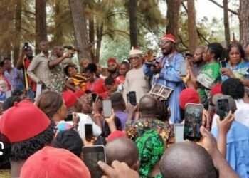 Anambra native doctors endorsing Soludo