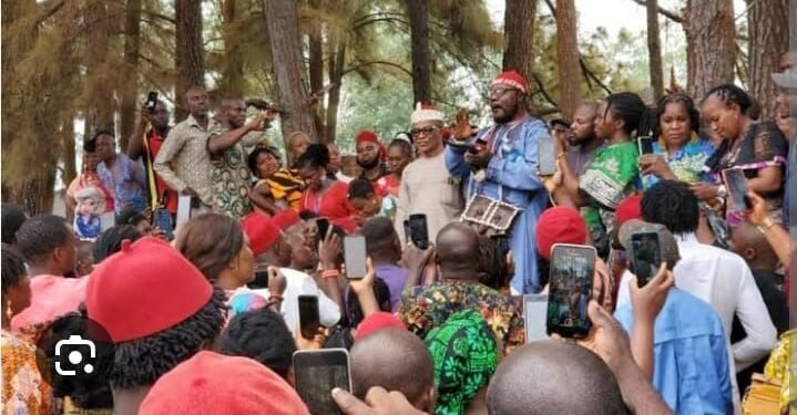 Anambra native doctors endorsing Soludo