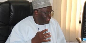 Ibrahim Gambari speaks on Cabal in Buhari’s government