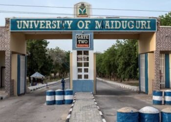 University of Maiduguri