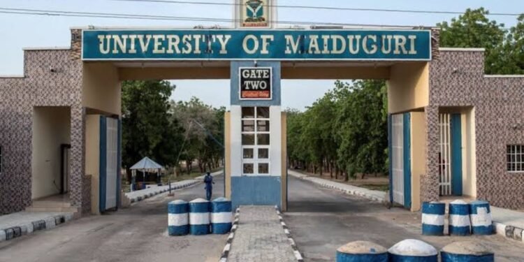 University of Maiduguri
