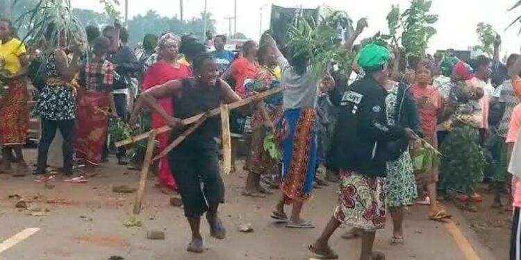 Benue women protest over insecurity, block highway