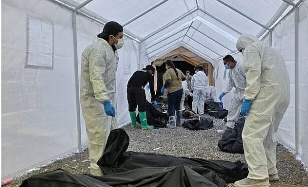 Mexico discovers human corpses in secret crematorium