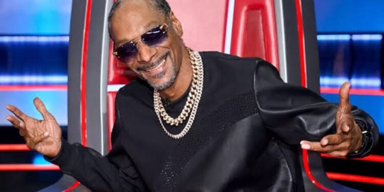 Snoop Dogg joins Swansea City
