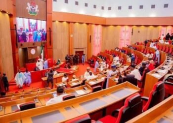 Nigeria Senate to advance digital economy, AI and e-Governance