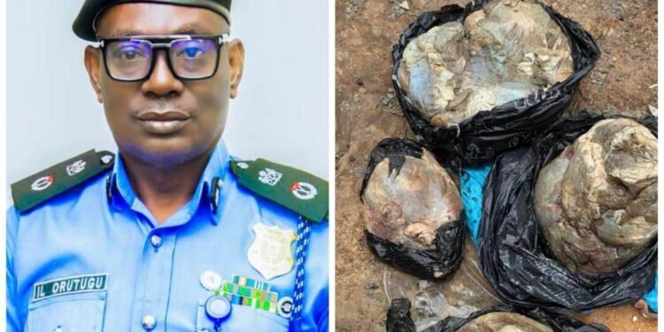 Anambra police nab woman over murder of pregnant nurse