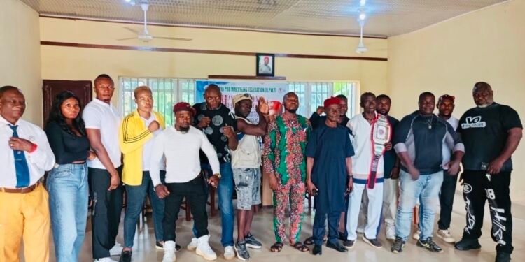 Nigerian Wrestling Federation