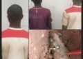 Teen arrested for kidnap