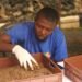 Livestock farmers get training in Anambra