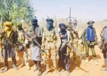 Terrorists in Northern Nigeria as 29 killed in Niger