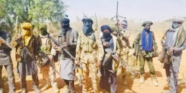 Terrorists in Northern Nigeria as 29 killed in Niger