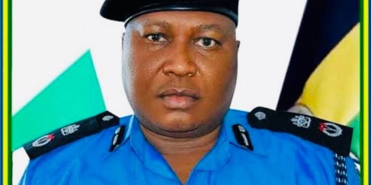 CP Adekemi Ojo warns officers