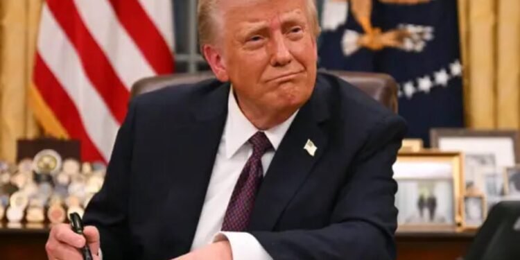 President Donald Trump