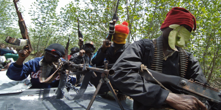 Northern Bandits abduct female farmers in Borno