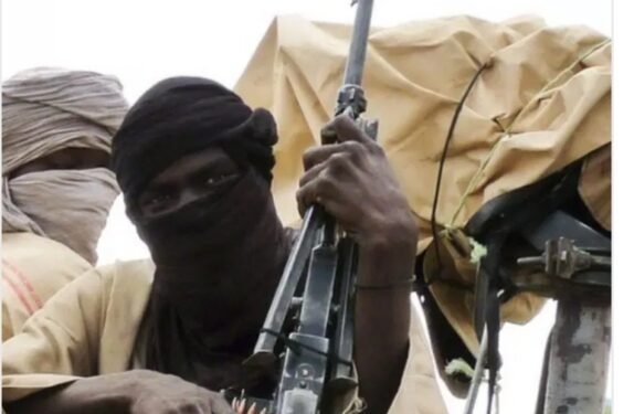 Bandits Strike Kano Border Area, Seize Elderly Man and Harm Son