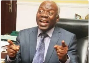 Falana Demands Re-Arrest of Soldiers, Prosecution of Terror Sponsors