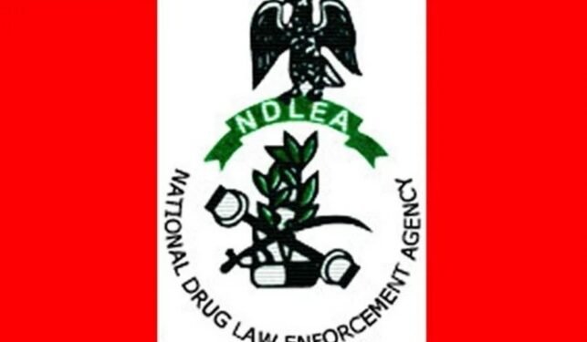 NDLEA Intercepts Cocaine Concealed in Starch, Bound for UK