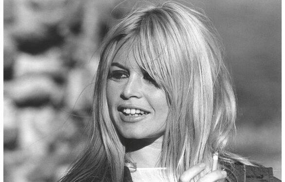 Brigitte Bardot