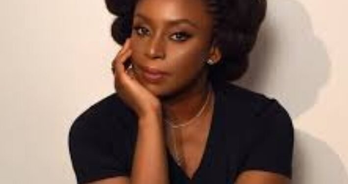 Adichie Chimamanda Alleges Son’s Death Caused by Medical Negligence in Lagos Hospital