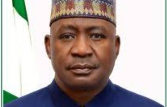 Defence Minister Assures Nigerians of Victory Over Security Challenges