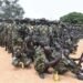 Nigerian Army Achieves Milestone as Militants Voluntarily Surrender in Cross River