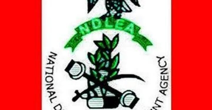 ‎NDLEA Nabs Brazilian Woman With ₦3bn Heroin at Abuja Airport