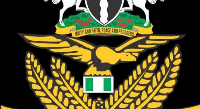 NAF Probes Fatal Airstrike in Niger That Harmed Civilians, Including Children