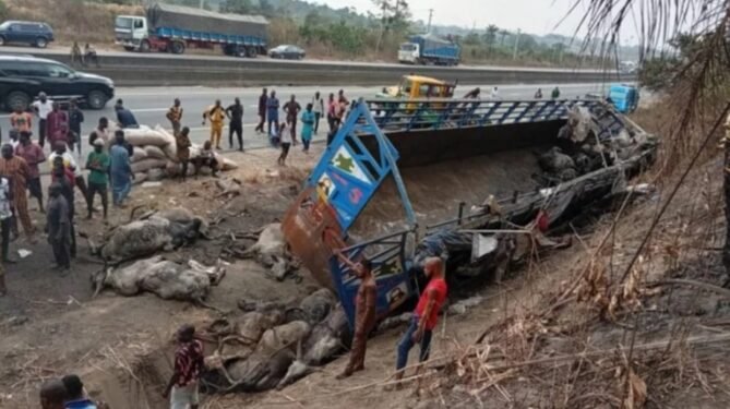 Truck Accident Claims Six Lives, Injures 23 on Lagos-Ibadan Highway