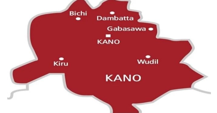 Kano Records Double Drowning of Teenager and Child 