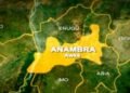 ‎Anambra Govt Vows Justice for Maid Tortured with Hot Iron