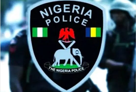 ‎Landlady in police net over alleged poisoning of tenant’s child in Ondo
