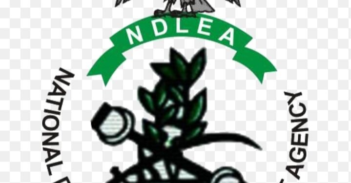 ‎NDLEA Operative Killed During Rivers Drug Bust, Six Arrested  ‎