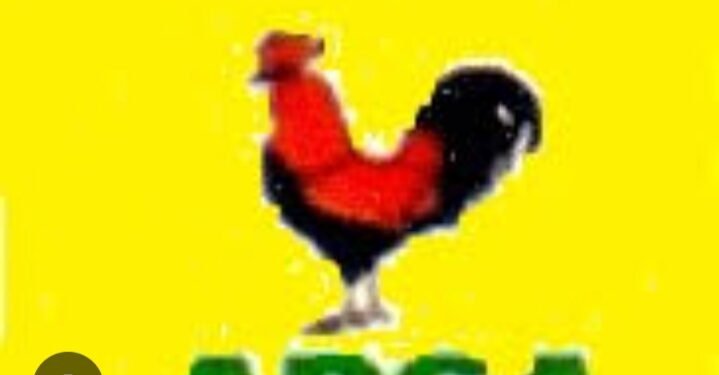 APGA Axes 11 Incumbent LG Chairmen in Anambra Primaries