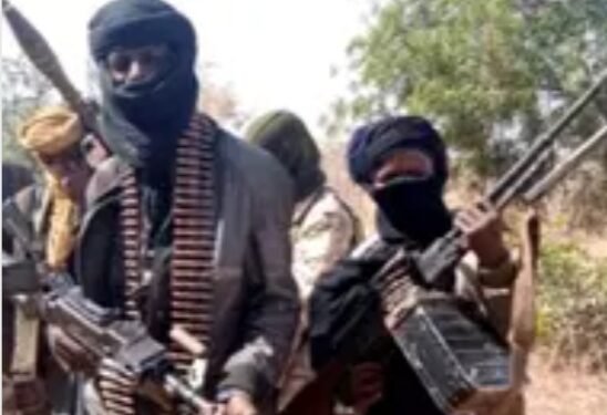 ‎Soldiers Eliminate 25 Terrorists, Lose One Personnel in Borno  ‎