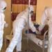 Lassa Fever Death Toll in Benue Rises to 10 as 45 Cases Confirmed