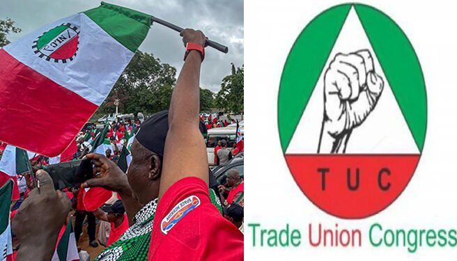 NLC TUC